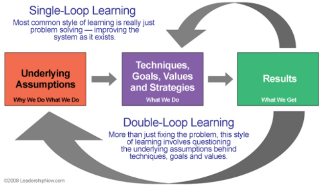 Single-loop and double-loop models in research on decision